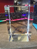 Papa Tee's  customizableclear Crystal block.
